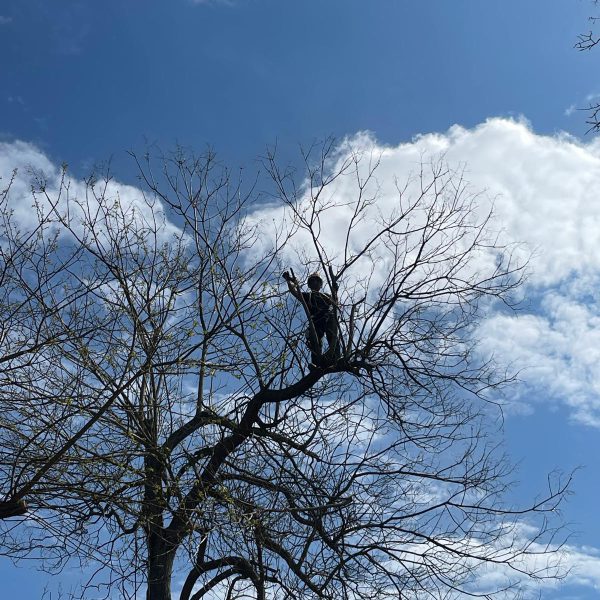 d40560cc-4be6-47a1-8d80-059d3871c6ad